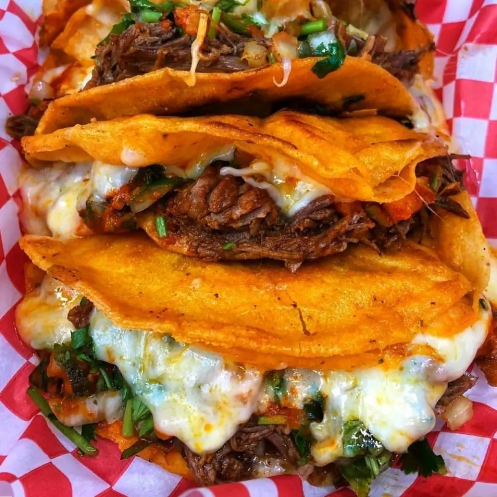 La Patrona quesabirria tacos filled with beef and melted cheese